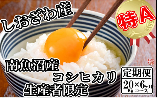 【令和7年産】【定期便／20kg×6ヶ月】生産者限定 契約栽培 南魚沼しおざわ産コシヒカリ【2025年10月上旬より順次発送予定】
