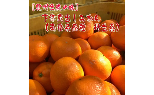 【 紀州 伝統 の 味 】 下津 蔵出し みかん （ 高糖系 品種 丹生系 ） 5kg  【Ｓ～Ｌ混合サイズ】【先行予約】 485608 - 和歌山県海南市