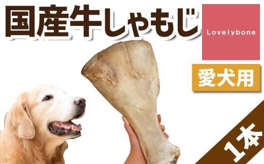 【大型犬向け】国産牛しゃもじ 533167 - 愛知県名古屋市