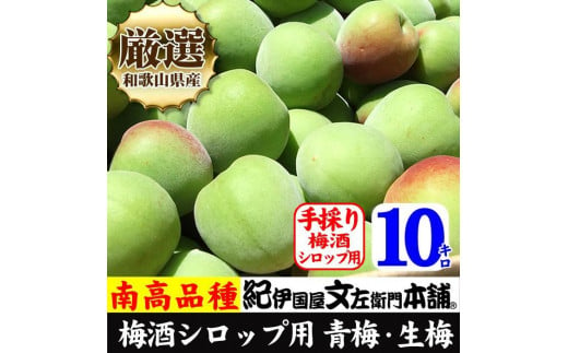 10kg【緑】■特大サイズ 南高梅 梅酒用 フレッシュ青梅（生梅）／紀伊国屋文左衛門本舗