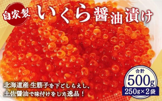 自家製 いくら 醬油漬け 500g 680066 - 北海道小樽市