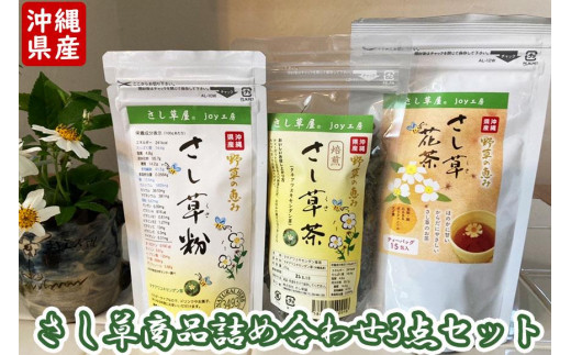 沖縄県産4種のウコンと5種の美健素材（SAKEKING10個セット） - 沖縄