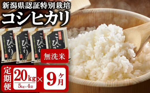 令和5年産新米【定期便】新潟県認証特別栽培 コシヒカリ 無洗米 25kg