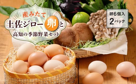 産みたて土佐ジロー卵（６ヶ入り×2パック）と高知の季節野菜セット 438496 - 高知県高知市