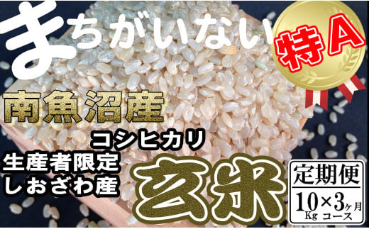 【定期便】玄米 生産者限定 南魚沼しおざわ産コシヒカリ10Kg×3ヶ月 446906 - 新潟県南魚沼市