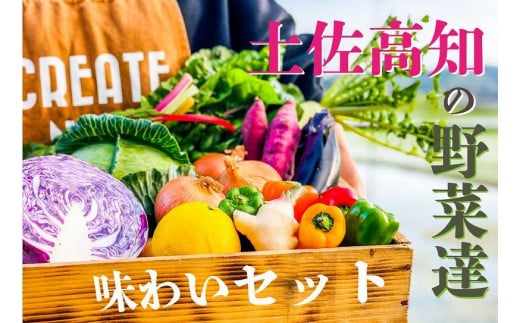 高知の新鮮野菜セット／旬の野菜を味わうお試し便