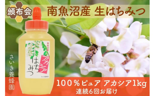【頒布会】さいき養蜂園　　天然ピュア蜂蜜　アカシア１ｋｇ　6か月連続お届け