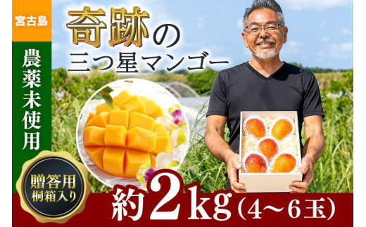 2023年発送】沖縄県宮古島産「完熟マンゴー」◇贈答用◇約2kg（4～6玉