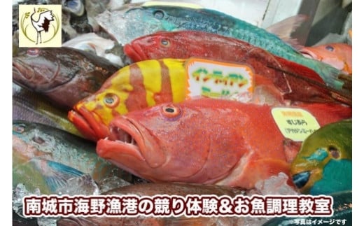 南城市海野漁港の競り体験とお魚調理教室 809196 - 沖縄県南城市