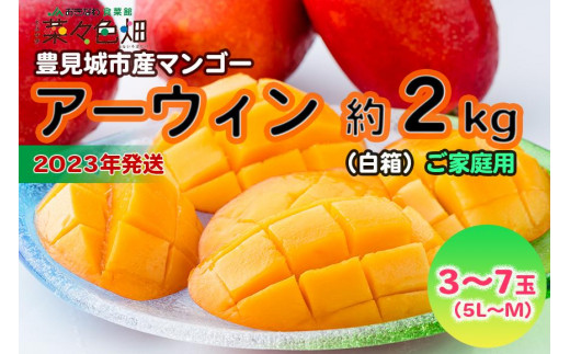 【2023年発送】アーウィンマンゴー2kg（白箱）ご家庭用