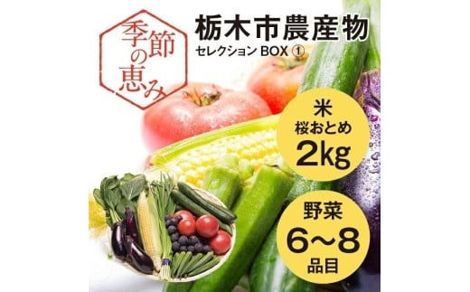 季節の恵み栃木市農産物セレクションBOX（１） 701099 - 栃木県栃木市