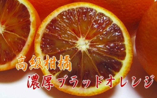 【高級柑橘】和歌山県産 ブラッドオレンジ“タロッコ”約5kg 477876 - 和歌山県海南市