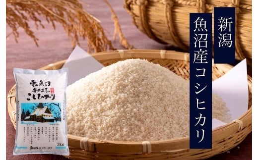 新潟 魚沼産コシヒカリ 斎木正志のこしひかり3kg 506067 - 新潟県十日町市