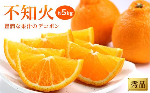 不知火(しらぬい)＜秀品＞約5kg