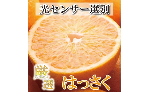 ＜1月より発送＞家庭用 はっさく6.5kg+195g（傷み補償分）【八朔みかん・ハッサク】【わけあり・訳あり】