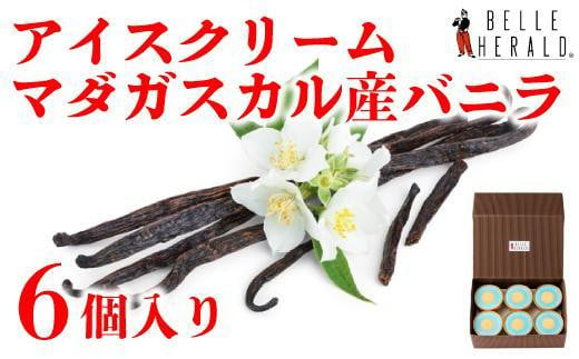 【芳醇な香りとコク】アイスクリーム マダガスカル産バニラ使用 ６個入 濃厚 スイーツ 531995 - 愛知県名古屋市