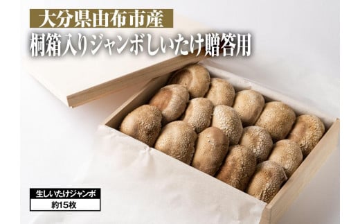 サンプル写真