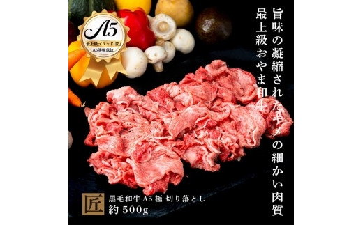 おやま和牛 A5 極 和牛 切り落とし 約500g / 栃木県小山市 | セゾンの