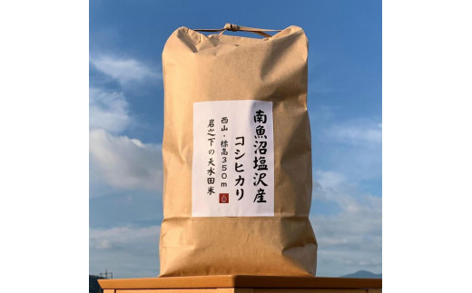 南魚沼産コシヒカリしおざわ西山地区 令和４年産精米15kg - 米/穀物