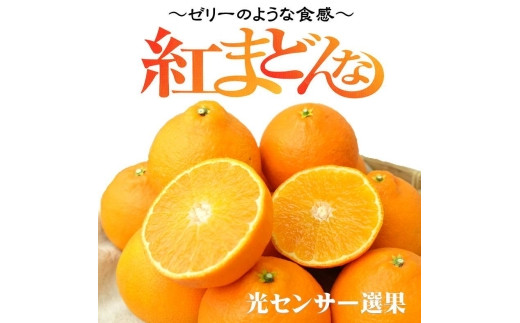 【先行予約】 紅まどんな 3kg（8~15玉） 愛媛 みかん 紅まどんな 蜜柑 柑橘 果物 くだもの フルーツ 愛媛県 松山市
