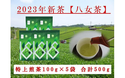 2023年新茶予約】八女茶 特上煎茶100g×5袋【2023年5月上旬発送予定