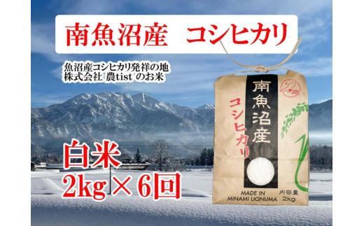 定期便 南魚沼産】 コシヒカリ 白米２kg×６回 / 新潟県南魚沼市