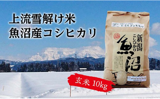 【令和二年産】豪雪地帯ならではの風土が育んだ魚沼コシヒカリ