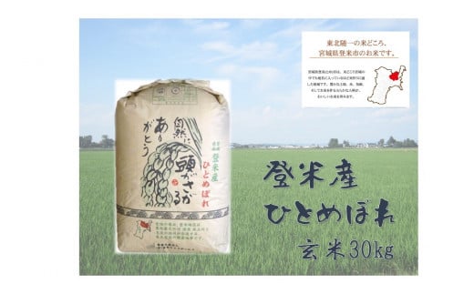 【令和４年産】宮城県登米市産ひとめぼれ玄米 ３０kg