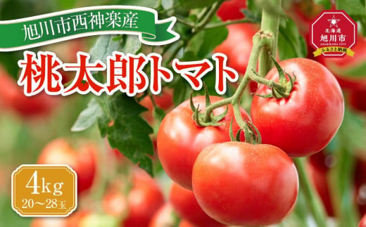 先行予約】旭川市西神楽産 桃太郎トマト4kg (2023年6月中旬～発送開始