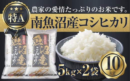 無洗米　10キロ　お米　新米　精米済み　米　精米　10kg