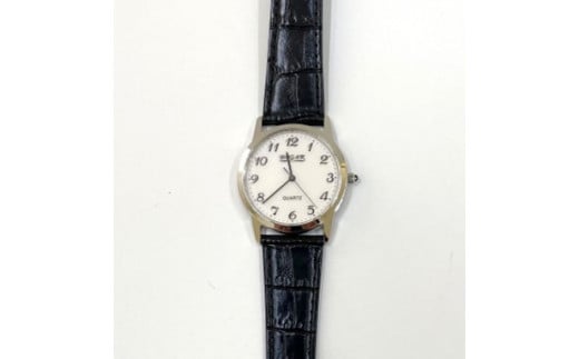 0030-013　国産腕時計　ROGAR （ロガール） RO-055MB-S1／メンズ腕時計|株式会社富士精密