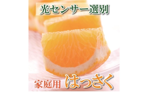 ＜1月より発送＞家庭用 はっさく9kg+270g（傷み補償分）【八朔】【わけあり・訳あり】