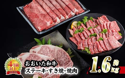 おおいた 和牛 3種 セット  (合計1.66kg・サーロインステーキ180g×2枚・ウデ肉700g・焼肉300g×2P)-百年の恵み-【BD186】【西日本畜産 (株)】