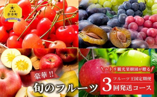 アイテムID:374186の画像1枚目