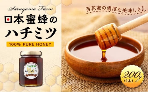 2023年10月賞味期限はちみつ 日本蜜蜂天然100%1㎏ - その他