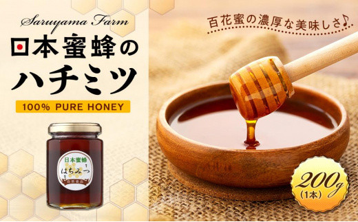 国産蜂蜜日本蜜蜂ミツバチ 自然界100%の生ハチミツ 570g 蜂蜜 2年物