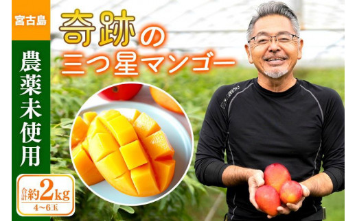 2023年発送】沖縄県宮古島産「完熟マンゴー」約2kg（4～6玉）「畑 ...