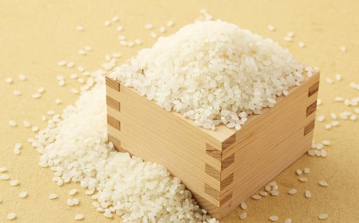 熊本県産 くまさんの輝き 無洗米 お米
