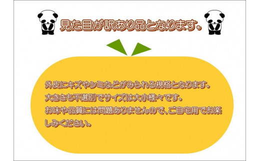 アイテムID:357624の画像2枚目