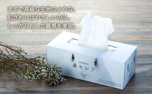 A011】紙のまち苫小牧 鼻セレブ ティッシュペーパー（30箱） - 北海道