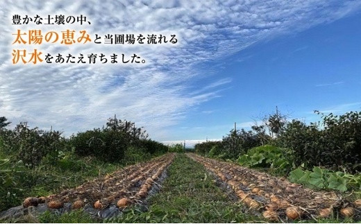 アイテムID:362472の画像2枚目