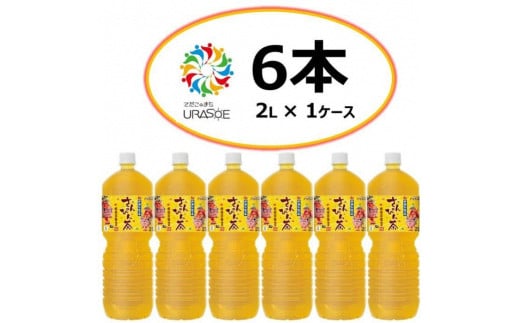 【沖縄限定販売！】茶琉彩彩さんぴん茶2L×6本