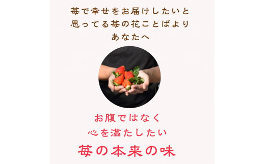 新潟県上越市のふるさと納税 雪国完熟越後姫桃薫 約200g×2P食べ比べセット