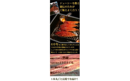 大型サイズ ふっくら柔らか国産うなぎ蒲焼き 3尾 / 和歌山県那智勝浦町