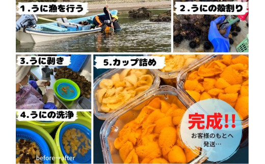 新発売】 北海道美国産 塩水カップ生ウニ4個セット 魚介類(加工食品