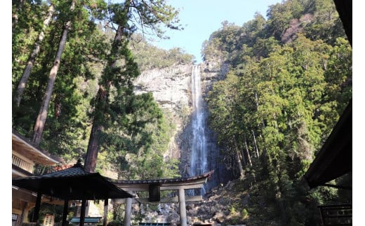 定期観光バス 熊野三山めぐりコース（お弁当付き） - 和歌山県那智勝浦町｜ふるさとチョイス - ふるさと納税サイト