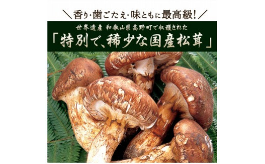 和歌山県産　松茸　200g  ご家庭用