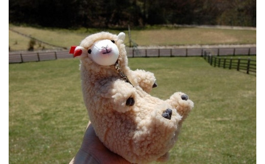 羊の毛刈り ぬいぐるみ  六甲山牧場限定　2匹
