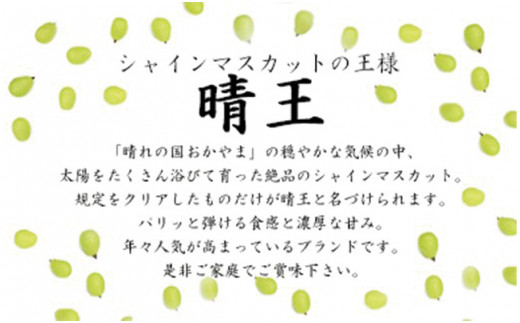 令和5年発送分】岡山県産シャインマスカット晴王【秀品】大房1房