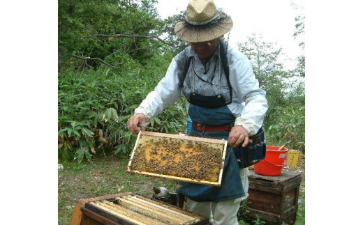 創業百年・熊野古道　峠の蜂蜜３本セット